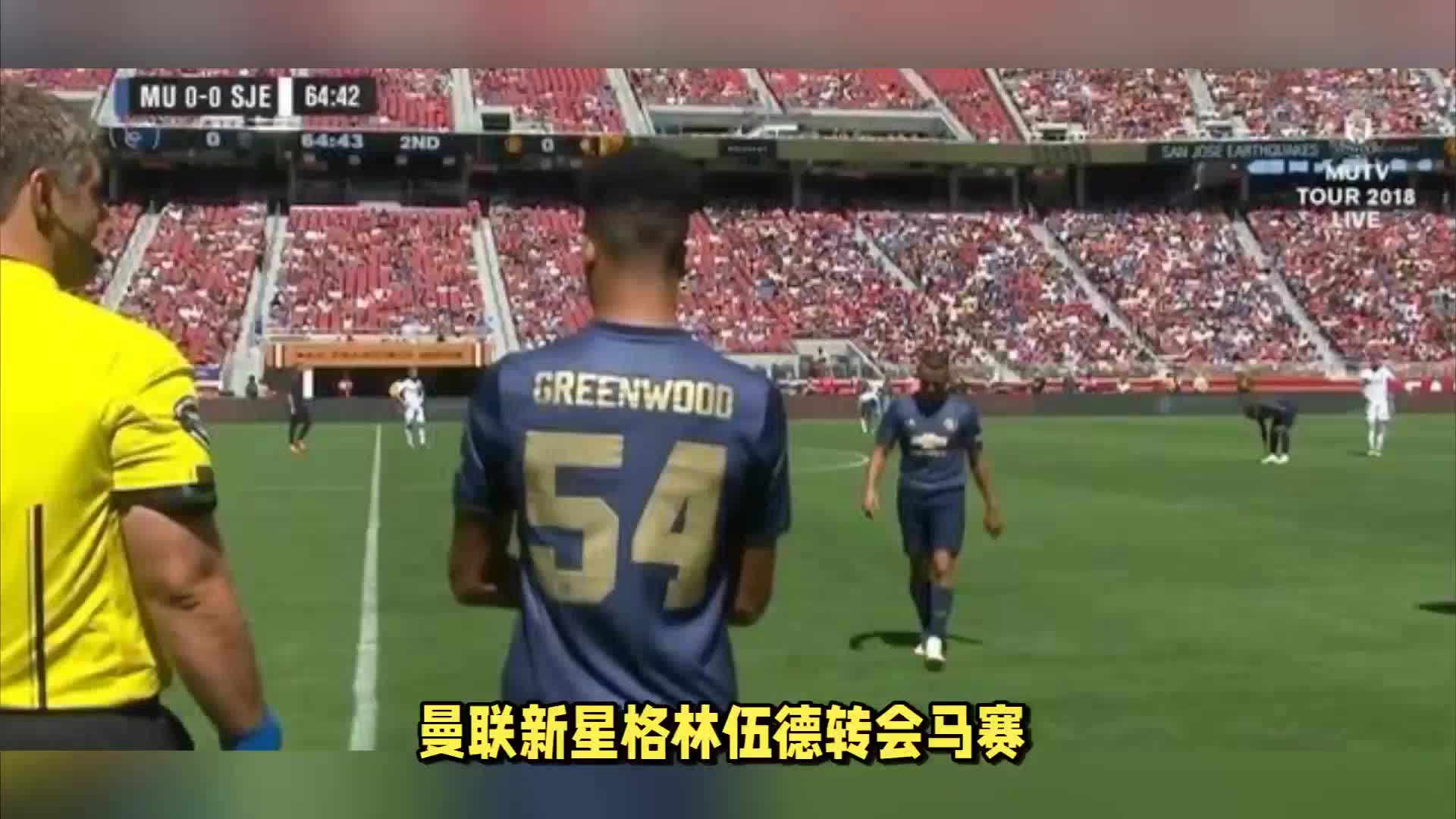 定的