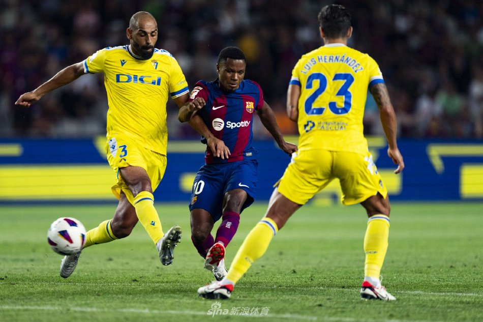 或迫使他们 或迫使他们