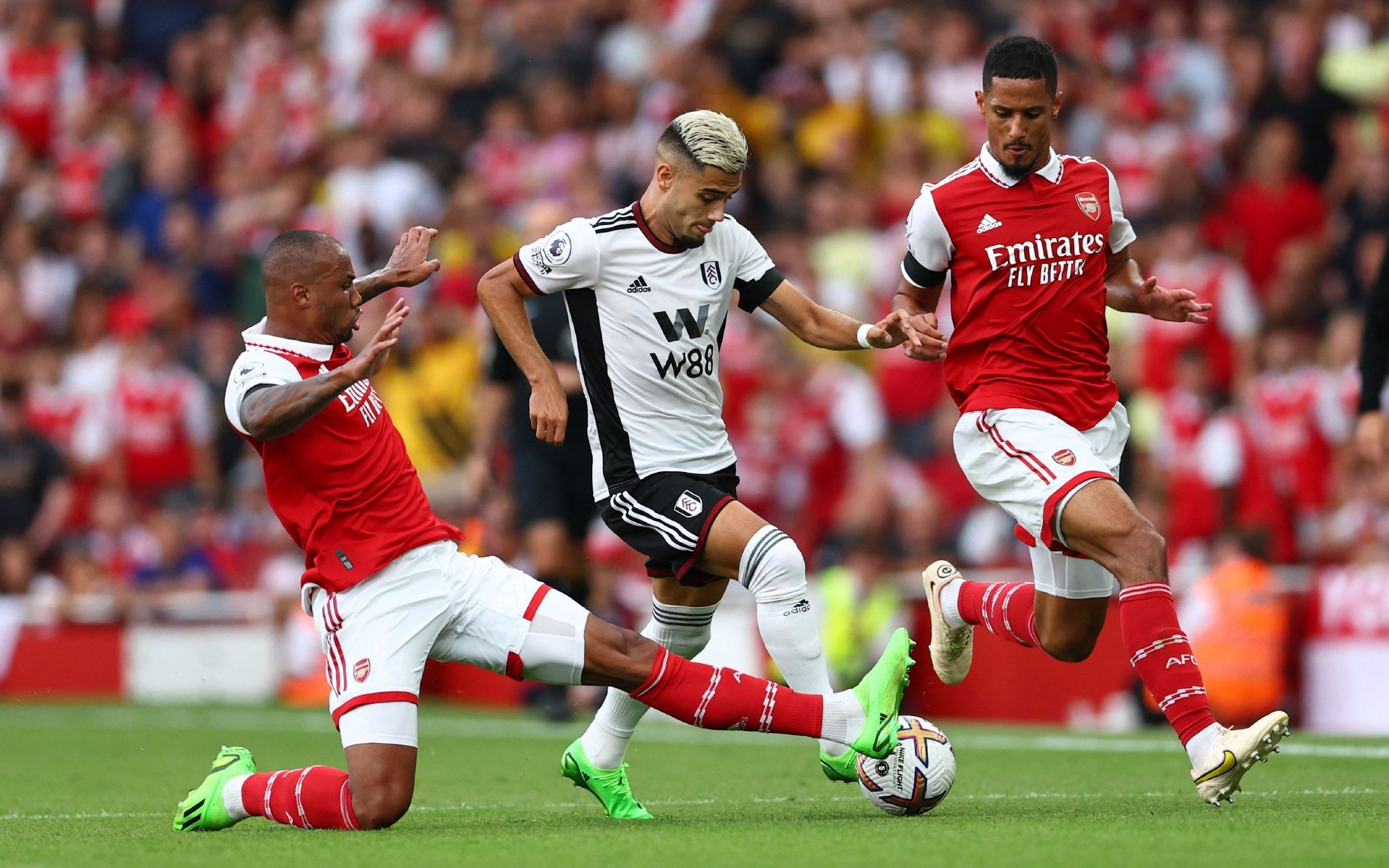 职业生涯的 职业生涯的